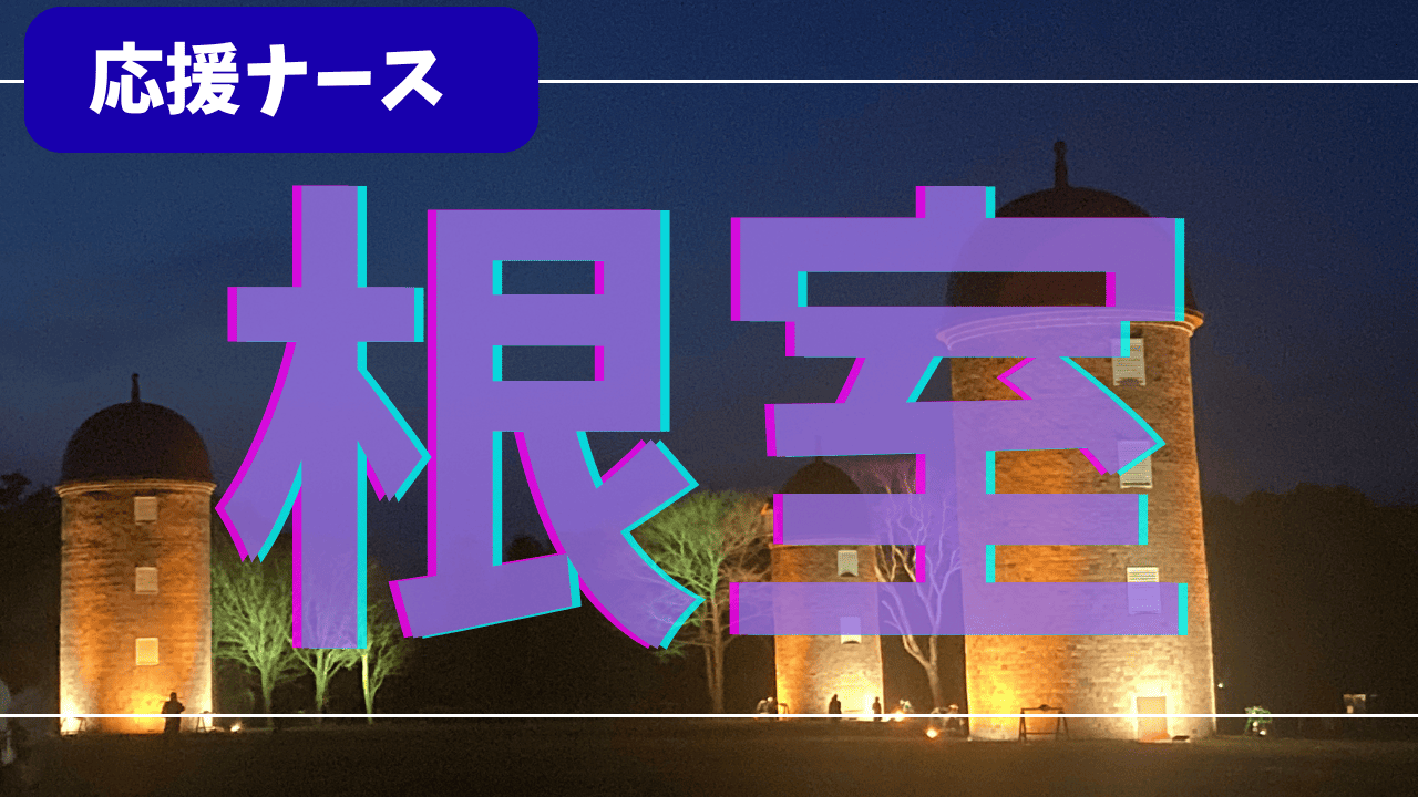 【看護師のリアル】根室で働く応援ナース体験談｜夏だけ北海道ライフと給料・寮・人間関係を徹底解説