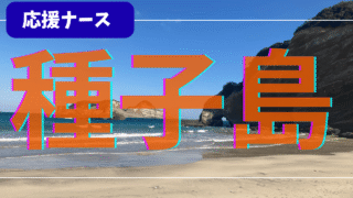 応援ナース×種子島のリアル体験談｜求人選び〜給料・寮・台風対策まで全部まとめ 