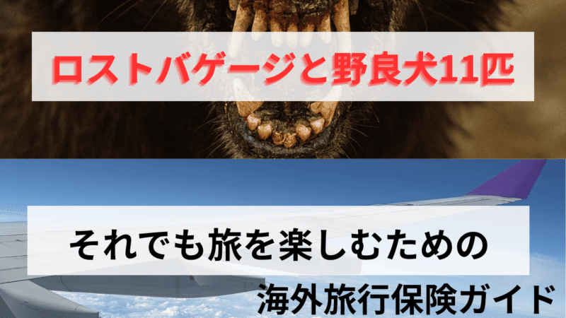 海外で野良犬に噛まれたら保険は出る？治療費・狂犬病とクレカ付帯の限界 