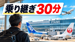ANAからJALへ乗り継ぎ30分！伊丹空港でスタッフに直接聞いてみた【どこかにマイル旭川旅行】 